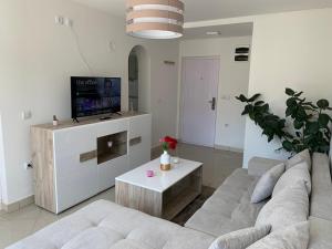 a living room with a couch and a tv at Apartmani Bambi Sokobanja in Soko Banja
