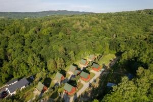 Príroda v okolí rezortu