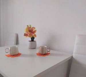 Kaffi- og teaðstaða á Apartman LEO