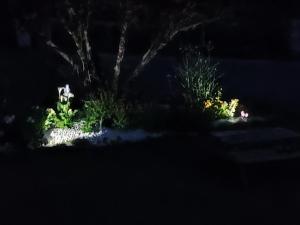 Fotografia z galérie ubytovania Au Plaisir de l'Ivoie v destinácii Le May-sur-Èvre
