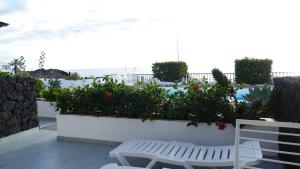 un patio con 2 bancos blancos y flores en Finca del Mar Naturist Complex, en Charco del Palo