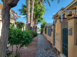 une passerelle entre deux bâtiments plantés de palmiers dans l'établissement Casa Valentino, à Santa Pola