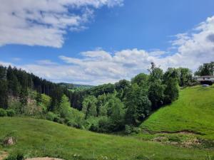a green field with trees on a hill at Superbe Appart' Bois De Fagne in Malmedy