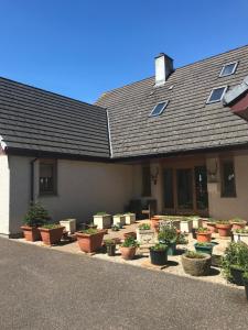 a bunch of potted plants in front of a house at Druid View B&B in Inverness