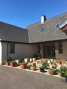 a bunch of potted plants in front of a house at Druid View B&B in Inverness