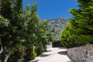 a walkway with trees and a mountain in the background at Villa Asigonia in Asigonía