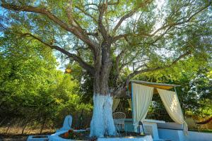 ein Baum mit einem Baldachin und einem Tisch darunter. in der Unterkunft Olive Tree Cottage in Virós