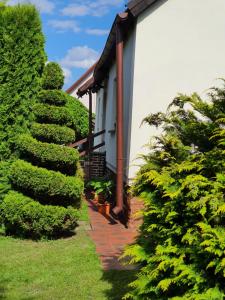 a house with green trees and a walkway at Pokoje u Gosi in Węgorzewo