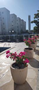 tres macetas con flores rosas en un patio en AP confortável para sua família en Palmas