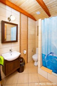 a bathroom with a sink and a toilet at Domki Ania in Łeba +31 photos