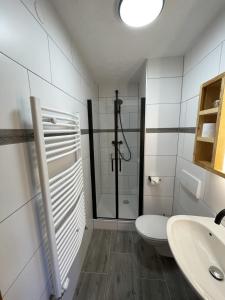 ein Bad mit einer Dusche, einem WC und einem Waschbecken in der Unterkunft Ferienwohnung Peintnerhof in Innervillgraten