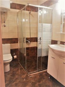 La salle de bains est pourvue d'une douche, de toilettes et d'un lavabo. dans l'établissement Apartmants Elisa, à Ulcinj