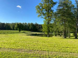 a field of grass with a bird flying in the sky at Cisza & Spokój - Jeziora, Lasy i Drawieński Park in Człopa