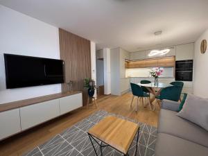 TV a/nebo společenská místnost v ubytování Downtown apartment Darinka