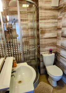 ein Bad mit einem WC und einem Waschbecken in der Unterkunft Clara apartman in Csopak