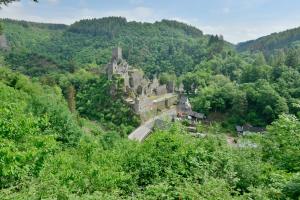an old castle in the middle of a forest at Der Eifel Perle Manderscheid in Manderscheid