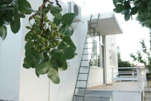 Fotografie z fotogalerie ubytování palmie cottage v destinaci Koropíon