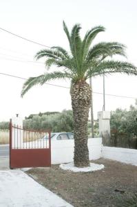 Fotografie z fotogalerie ubytování palmie cottage v destinaci Koropíon