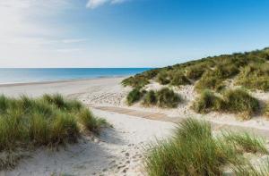 a sandy beach with the ocean in the background at Orchard Cottage in Wexford