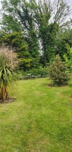 a park with a picnic table in the grass at Orchard Cottage in Wexford