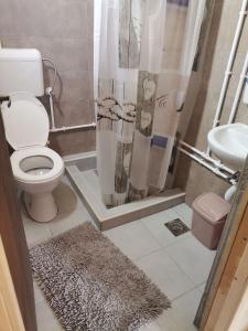 Koupelna v ubytování Seosko domacintsvo kod Cvela