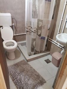 Bathroom sa Seosko domacintsvo kod Cvela