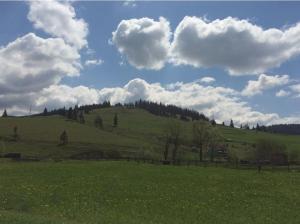 un campo verde con una recinzione e nuvole nel cielo di Karacsony Guest House a Lunca de Sus Altre 16 foto