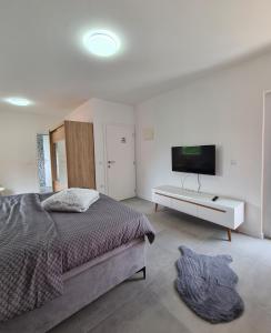 - une chambre avec un lit et une télévision murale dans l'établissement Apartmani Bugojno, à Bugojno