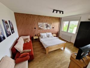 TV a/nebo společenská místnost v ubytování Apartment Nena