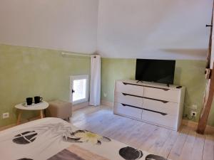 TV a/nebo společenská místnost v ubytování Le Clos des Figuiers - 3 Chambres d'hôtes de charme