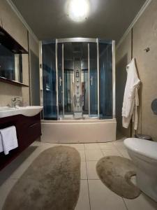 uma casa de banho com um chuveiro, um WC e um lavatório. em Hotel complex Lenivaya Vera em Novaki