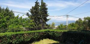 a hedge in front of a fence with a tree at Apartman No 1 in Sretenovo +2 photos