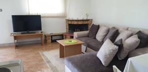 a living room with a couch and a tv at Apartman No 1 in Sretenovo