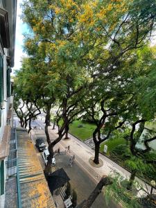 een uitzicht op een met bomen omzoomde straat vanuit een gebouw bij PIER HOUSE Accommodation in Funchal