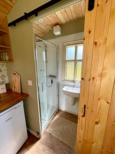 uma casa de banho com um chuveiro e um lavatório. em Stepping Stones Glamping ‘the olive’ em Bantry