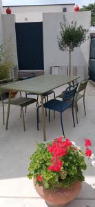 Patio alebo iná vonkajšia časť ubytovania Appartement neuf et moderne au cœur de la Camargue