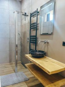 een badkamer met een wastafel en een douche bij De Malle Molen in Dinxperlo