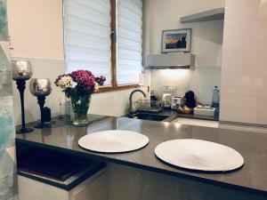 INNA Luxe & Wine- Central Belgrade Apartments廚房或簡易廚房 +24 張相片