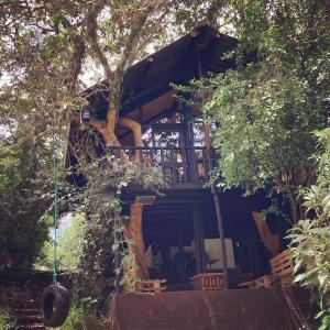a large wooden house with a balcony in the trees at The Tree House in Hacienda Estela