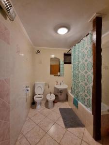 Koupelna v ubytování Apartman Mataija