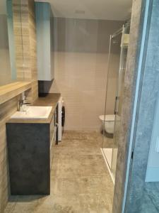 a bathroom with a sink and a shower and a toilet at Porta Mare Apartments LuxView- Budynek Centralny in Dziwnówek