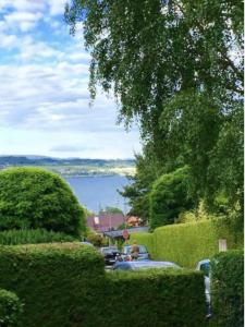 eine Straße mit Hecken und Seeblick in der Unterkunft FeWo "Im Birnaublick" in Konstanz