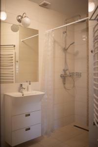 Kúpeľňa v ubytovaní Apartament Słoneczna Rapsodia - blisko Parku Zdrojowego - piękny widok - ogród - taras