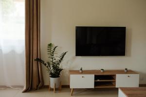 Televízia a/alebo spoločenská miestnosť v ubytovaní Apartament Słoneczna Rapsodia - blisko Parku Zdrojowego - piękny widok - ogród - taras