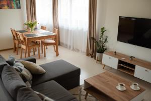 Televízia a/alebo spoločenská miestnosť v ubytovaní Apartament Słoneczna Rapsodia - blisko Parku Zdrojowego - piękny widok - ogród - taras