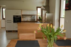 Kuchyňa alebo kuchynka v ubytovaní Apartament Słoneczna Rapsodia - blisko Parku Zdrojowego - piękny widok - ogród - taras