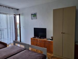 TV a/nebo společenská místnost v ubytování Apartman Mataija