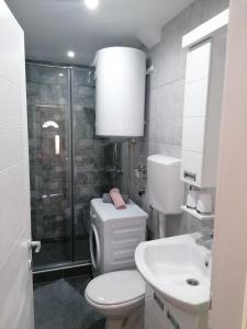 een badkamer met een douche, een toilet en een wastafel bij Apartmani Glorija in Arandjelovac
