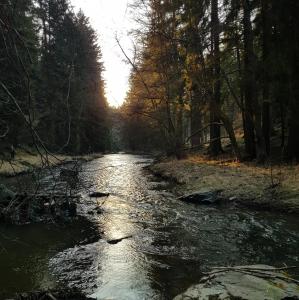 Príroda v okolí vily