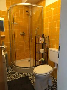 a bathroom with a shower with a toilet and a sink at Haus am Scheibenfelsen in St. Blasien